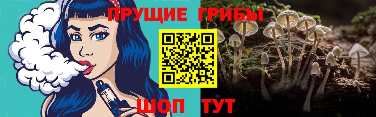 Дедовск  Псилоцибиновые грибы мицелий  Вход с VPN 